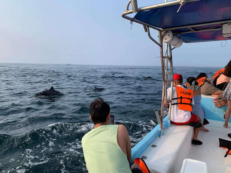 Puerto Escondido: Boat Tour to see Dolphins and Marine Life - Practical details before you reserve