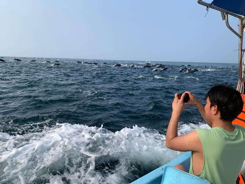 Puerto Escondido: Boat Tour to see Dolphins and Marine Life - What you can see on the way out