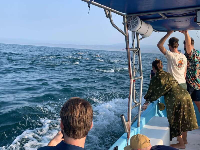 Puerto Escondido: Boat Tour to see Dolphins and Marine Life - Swimming with dolphins, with conditions attached