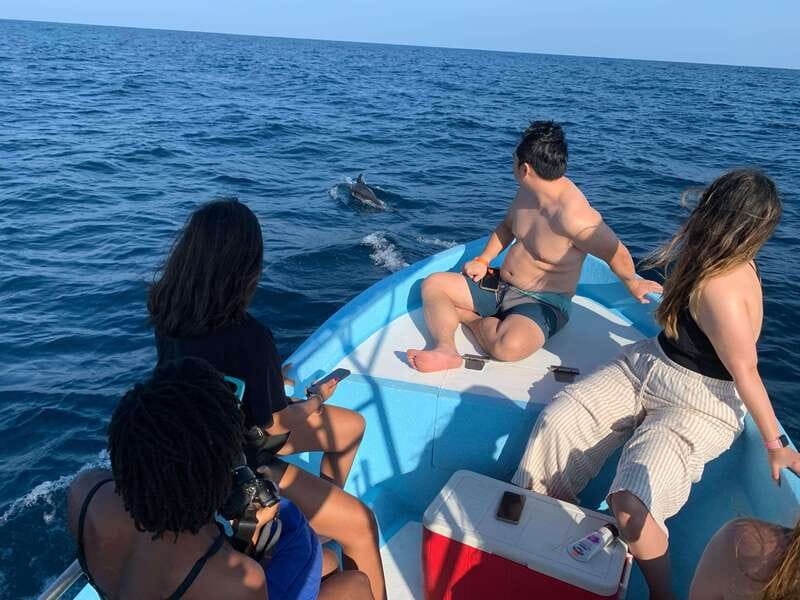 Puerto Escondido: Boat Tour to see Dolphins and Marine Life - A small boat with a personal soundtrack