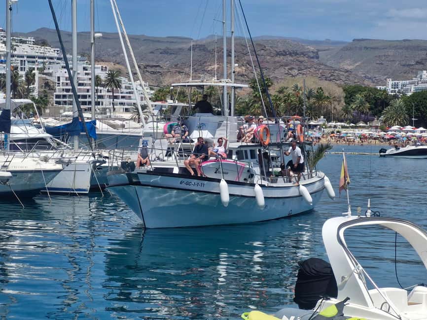 Puerto Rico, Gran Canaria: boat trip, drinks, food, paddle surfing, snorkeling - Families, couples, and quieter sea days