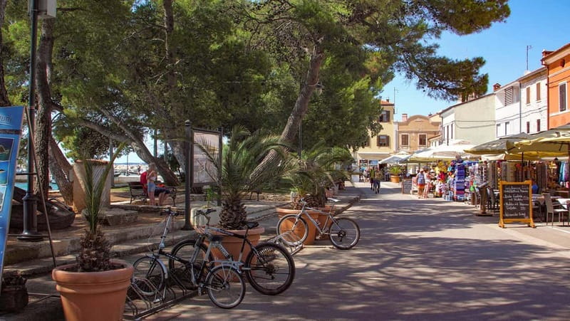 Pula: All-Inclusive Brijuni Boat Tour w Lunch, Drinks & Swim - Fažana gives the cruise a proper break