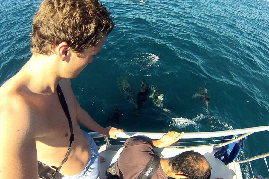 Pula: Brijuni Islands Dolphin Watching & Wildlife Cruise - Is the Brijuni dolphin cruise worth booking?