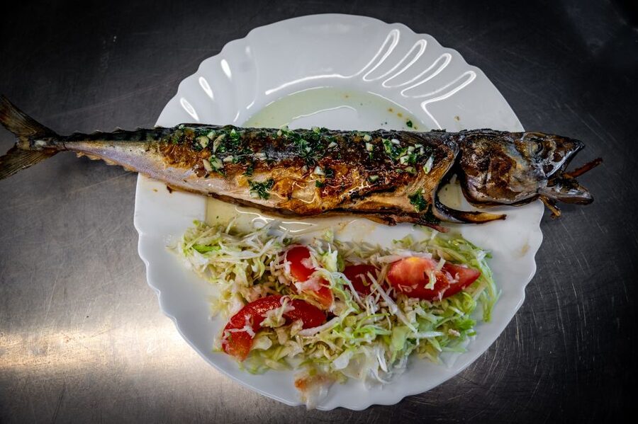 Pula: Brijuni National Park Sunset, Dolphins & Dinner Cruise - Key points to know before you book