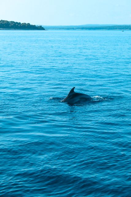 Pula: Dolphin&Sunset Cruise in Brijuni with Dinner&Drinks - Dinner with the sunset over the islands
