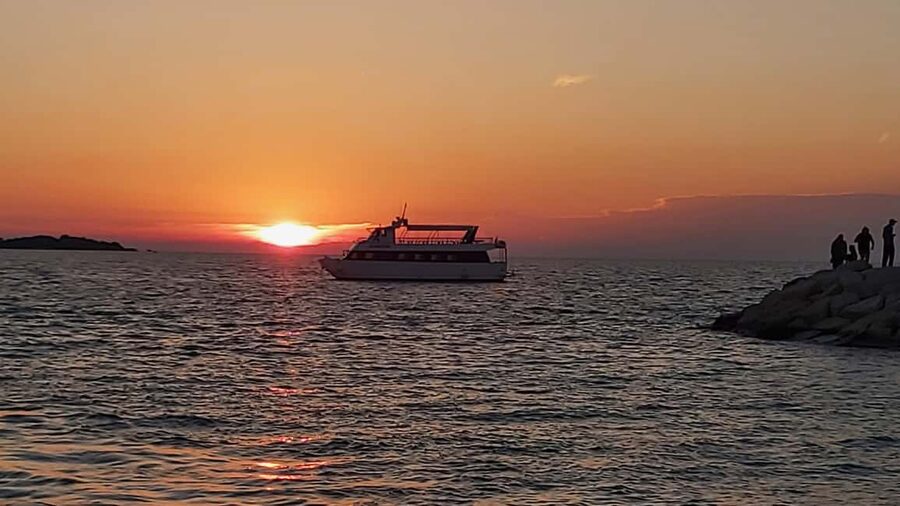 Pula: Dolphin Sunset Cruise to Brijuni with Dinner & Drinks - Should You Book the Ananda Dolphin Cruise?