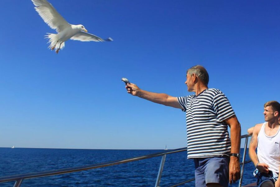 Pula: Dolphin Watching Sunset Cruise with Dinner & Drinks - Searching for dolphins near Brijuni