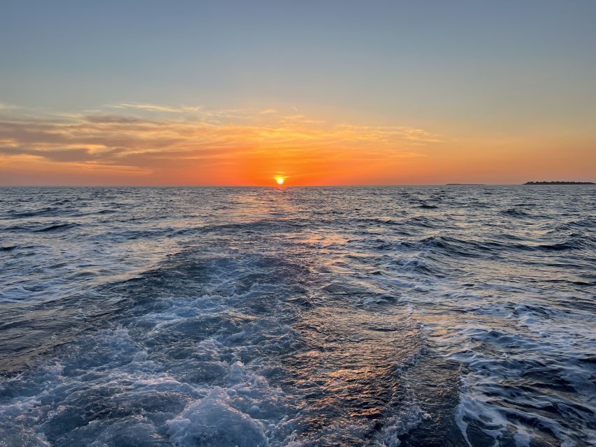 Pula: Dolphin Watching Sunset Cruise with Dinner & Drinks - Dinner with mackerel, pljeskavice, or vegetables