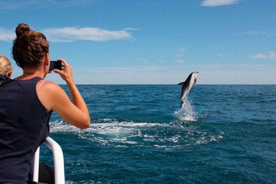 Pula: National Park Brijuni Island Visit & Dolphin Cruise - What this Brijuni boat trip is really like
