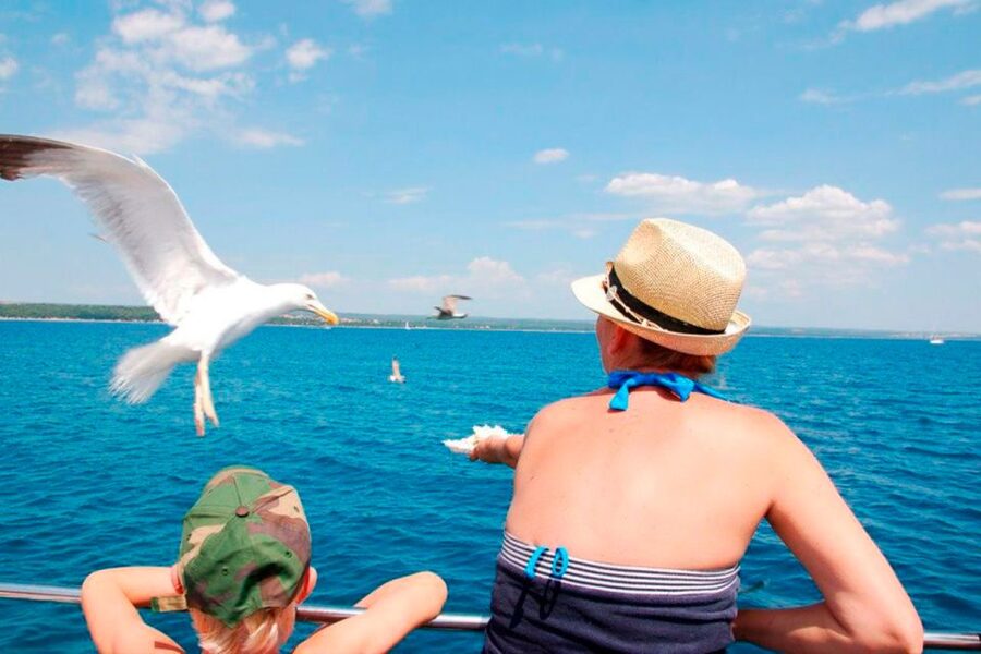Pula: National Park Brijuni Island Visit & Dolphin Cruise - Sunset, Pula Arena, and the return ride