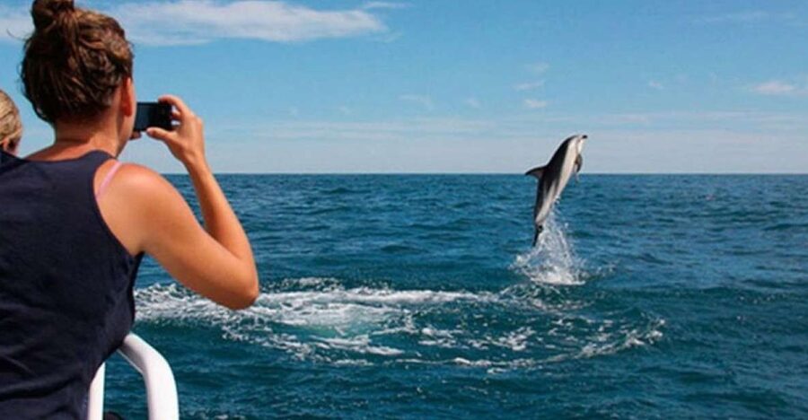 Pula: National Park Brijuni Island Visit & Dolphin Cruise - Cruising from Pula toward Brijuni National Park