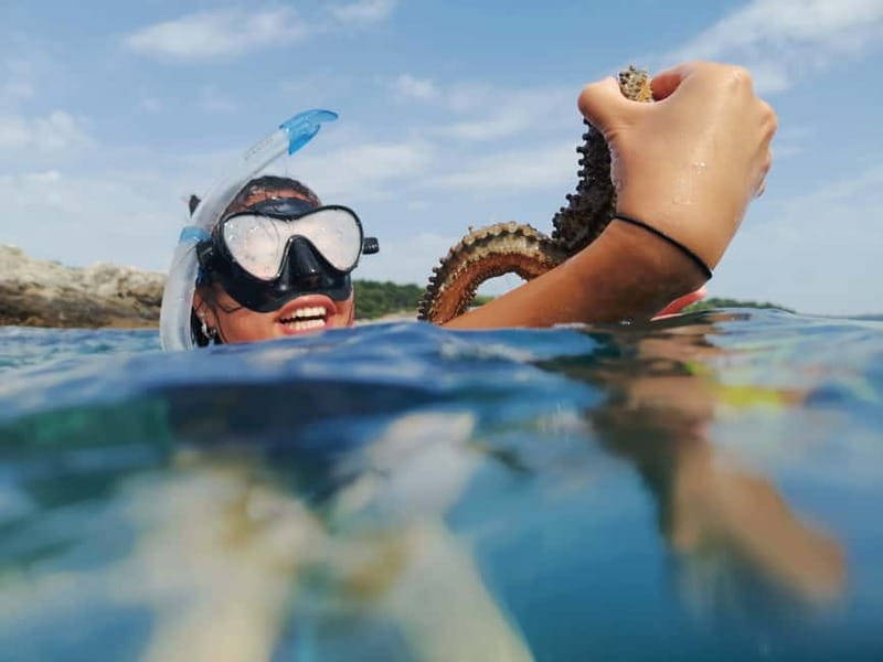 Pula: Sea Adventure – Boat, Kayak, Snorkeling & Cliff Jumps - Sea Caves, Rocky Passages, and Cliff Country