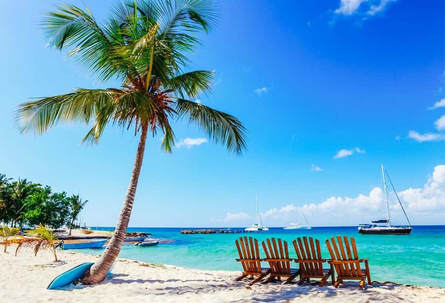 Punta Cana: Catamaran Boat to Saona Island with Buffet Lunch - Key points to know before booking