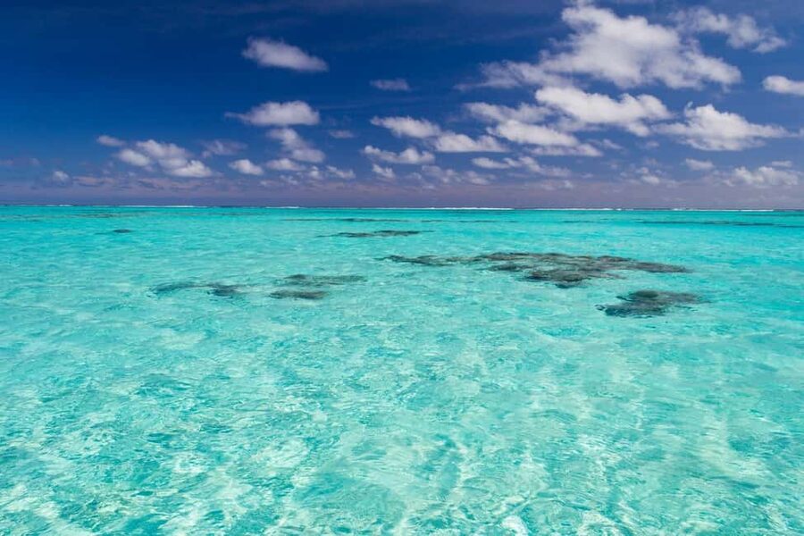 Punta Cana: Catamaran Boat to Saona Island with Buffet Lunch - The natural pool and its starfish