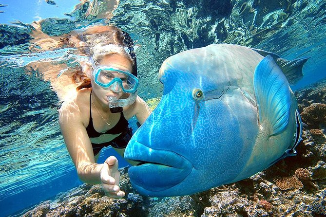Punta Cana Combo Tour: Snorkeling, Catamaran Cruise & Parasailing - Key points to know before booking
