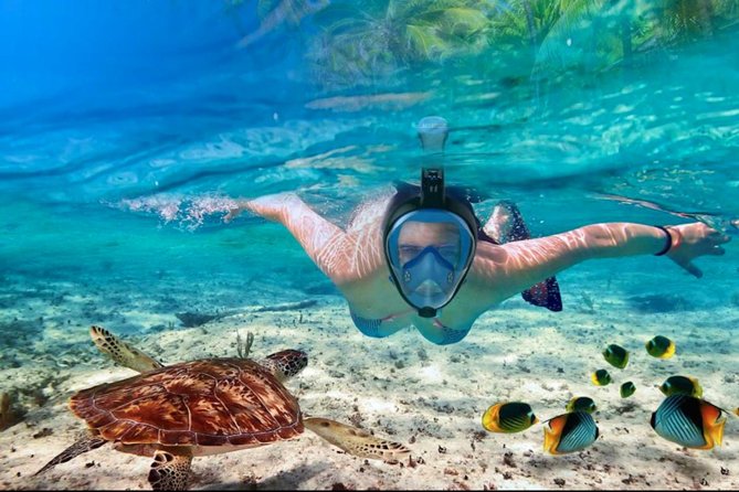 Punta Cana Combo Tour: Snorkeling, Catamaran Cruise & Parasailing - The double-decker catamaran and natural pool stop