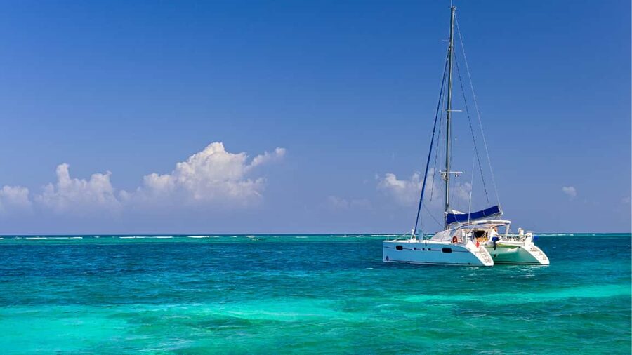 Punta Cana: Saona Island Catamaran Tour with Food & Open Bar - Buffet lunch with Dominican flavors