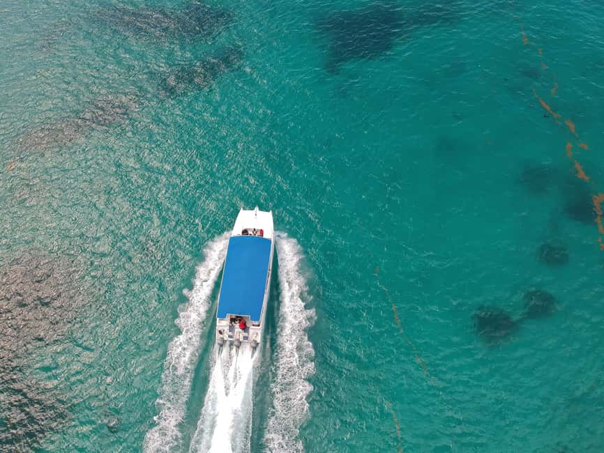 Punta Cana: Saona Island Full-Day All-Inclusive Boat Tour - Saona Island Beach Time