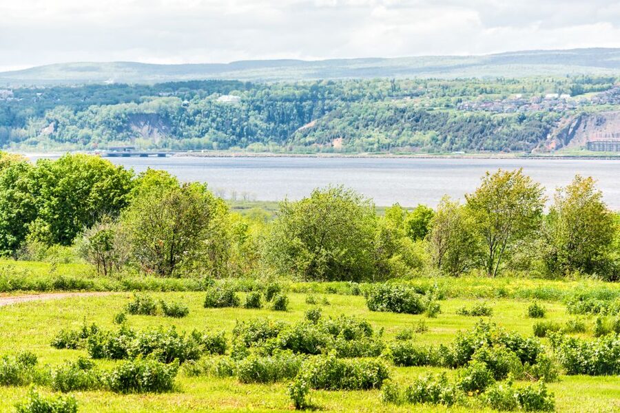 Québec City: Guided Sightseeing River Cruise - How Much Value Do You Get for $47?