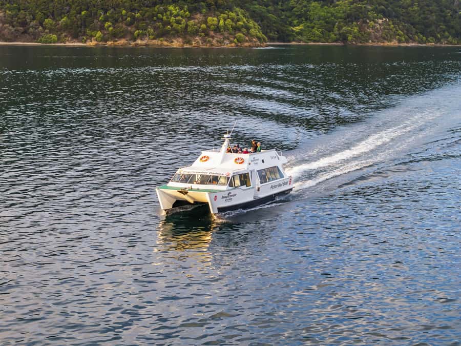 Queen Charlotte Sound Mail Boat Cruise from Picton - What the scenery looks like from the boat