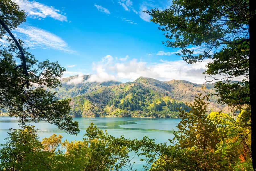 Queen Charlotte Track: Cruise & Self-Guided Hike from Picton - Leaving Picton through the Marlborough Sounds