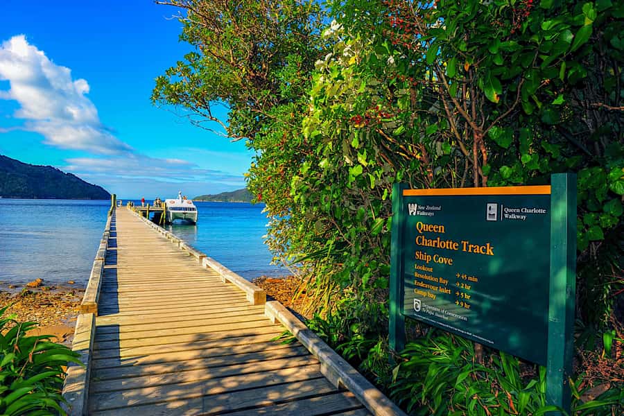 Queen Charlotte Track: Cruise & Self-Guided Hike from Picton - What the trail feels like underfoot