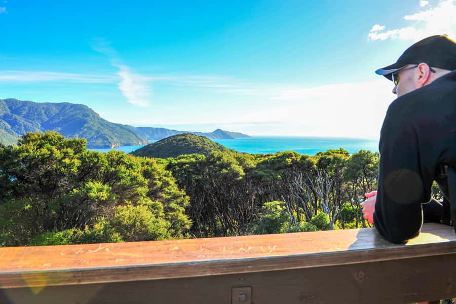 Queen Charlotte Track: Cruise & Self-Guided Hike from Picton - How to handle the boat schedule