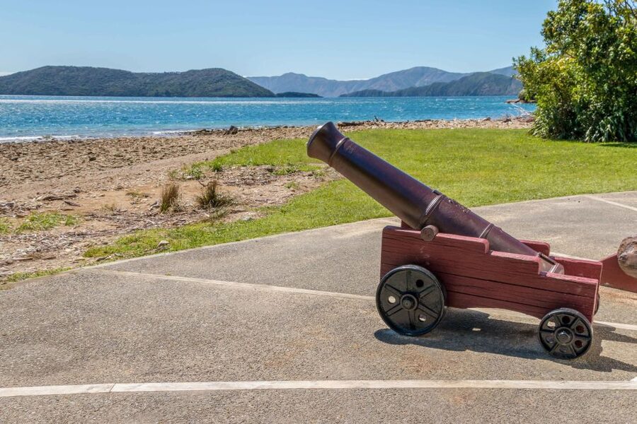 Queen Charlotte Track: Cruise & Self-Guided Hike from Picton - Wildlife, conservation, and the value of the commentary