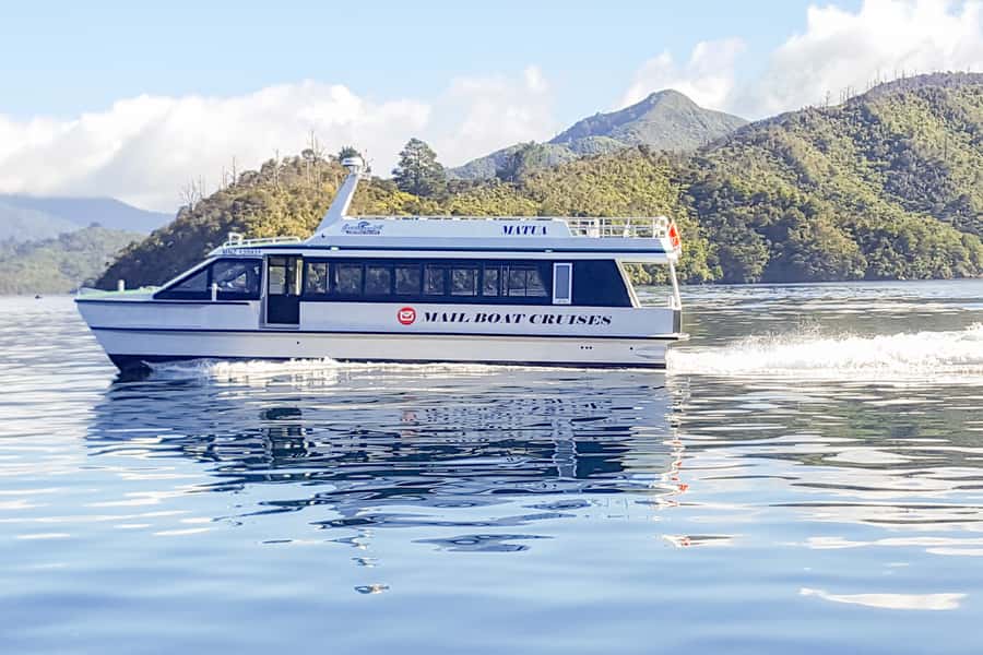Queen Charlotte Track: Cruise & Self-Guided Hike from Picton - Should you book the Queen Charlotte Track cruise and hike?