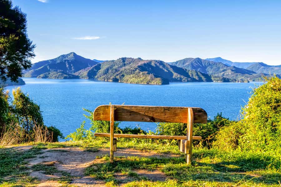 Queen Charlotte Track: Cruise & Self-Guided Hike from Picton - Ship Cove and the longer 17-kilometer walk
