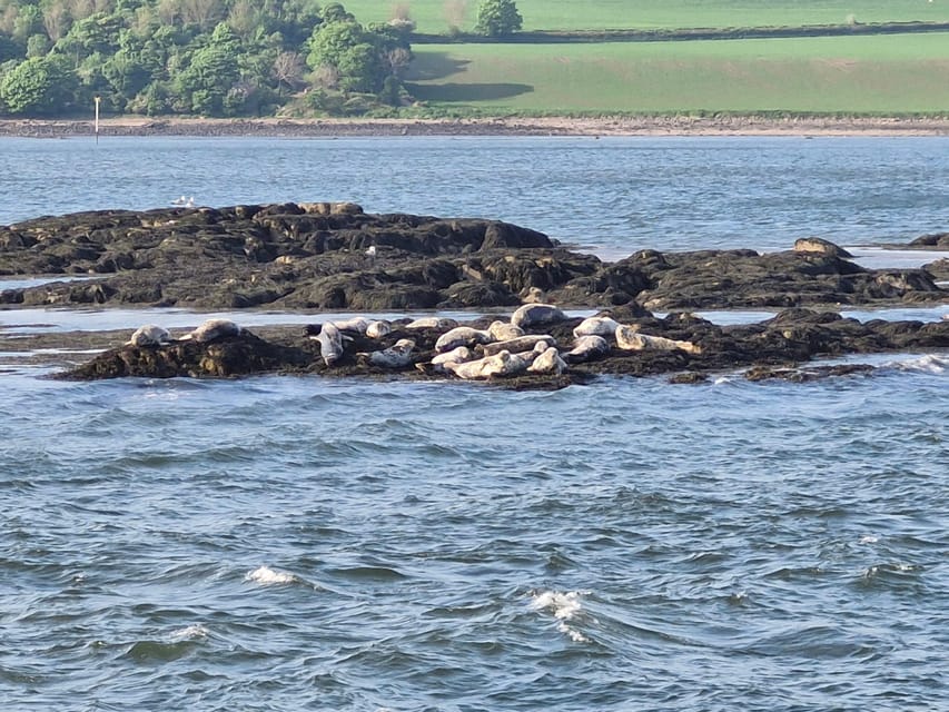 Queensferry: Sightseeing Cruise to Inchcolm Island - Exploring one of Scotland’s best-preserved abbeys