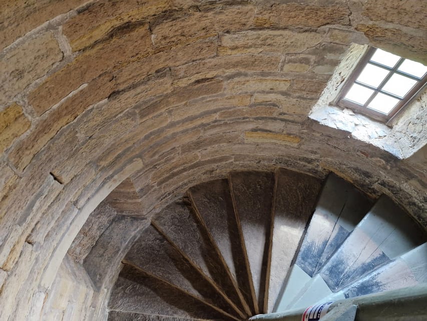 Queensferry: Sightseeing Cruise to Inchcolm Island - Is the $27 fare good value?