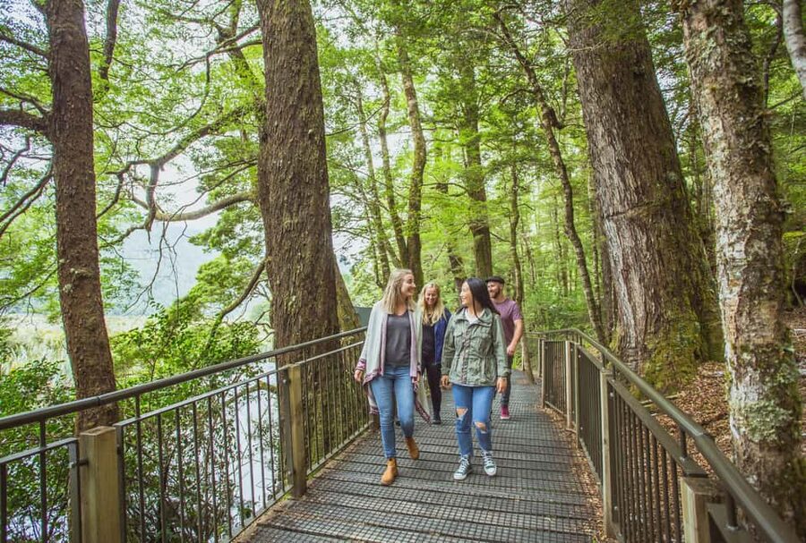 Queenstown: Milford Sound Coach & Cruise Full-Day Trip - The long road from Queenstown to Fiordland