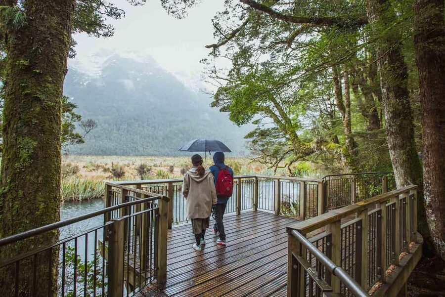 Queenstown: Milford Sound Coach & Cruise Full-Day Trip - Why rain can improve Milford Sound