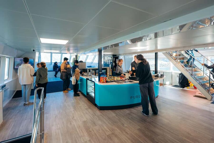 Queenstown: Milford Sound Coach & Cruise Full-Day Trip - Booking details worth getting right