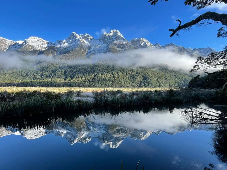 Queenstown: Milford Sound Small-Group Tour w Cruise & Lunch - Lake Gunn and the Hollyford River add quieter moments