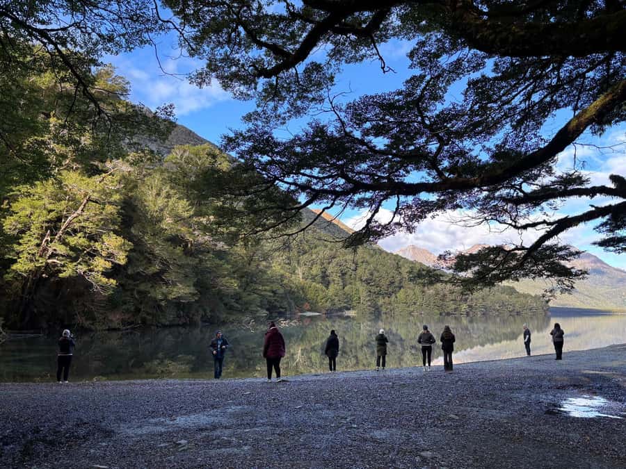 Queenstown: Milford Sound Small-Group Tour w Cruise & Lunch - The Milford Sound cruise is the day’s main reward