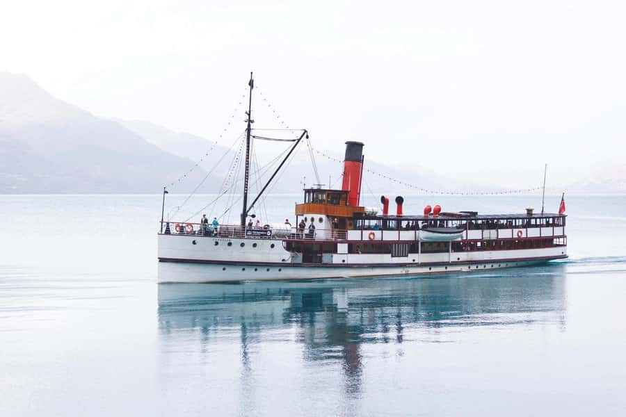 Queenstown: Queenstown Lake Cruise and Walter Peak Farm Tour - Sheep shearing and the working dogs
