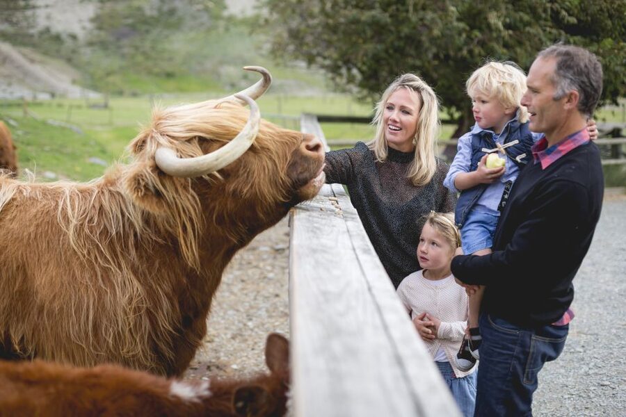 Queenstown: Queenstown Lake Cruise and Walter Peak Farm Tour - Is the price fair for three and a half hours?