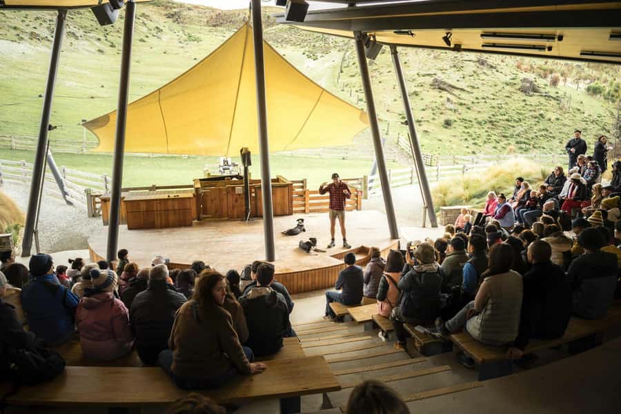 Queenstown: Walter Peak Gourmet BBQ & Lake Whakatipu Cruise - Sheepdogs, sheep shearing, and life on a working farm