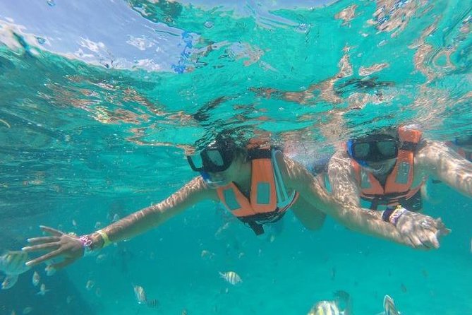 Reef Snorkeling & Jungle Speedboat Adventure with Mayan Ceremony - Mangroves, open water, and the ride to the reef