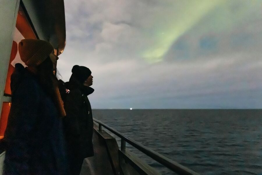Reykjavik: Northern Lights Yacht Tour - Who should book this Reykjavík cruise?