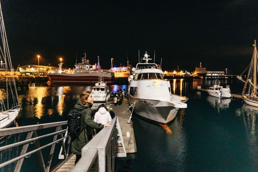 Reykjavik: Northern Lights Yacht Tour - Staying warm on the open deck