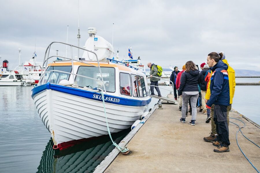 Reykjavik: Puffin Watching Boat Tour - Practical planning for your departure