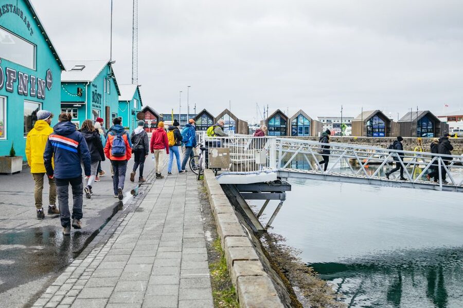 Reykjavik: Puffin Watching Boat Tour - What the one-hour length gets right