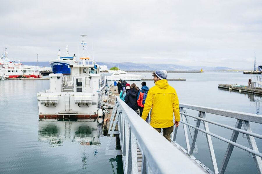 Reykjavik: Puffin Watching Boat Tour - Wind, waves, and hearing the guide