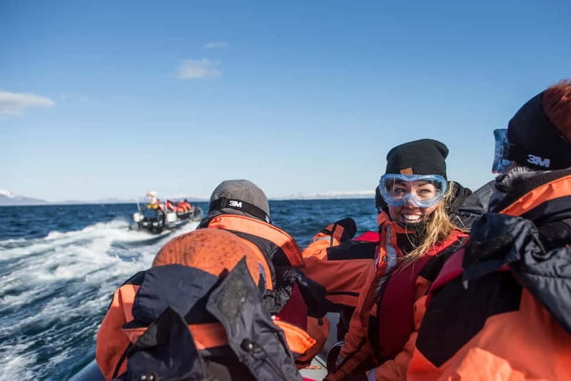 Reykjavik: Whale and Puffin Watching RIB Boat Tour - Why the RIB changes the whale search