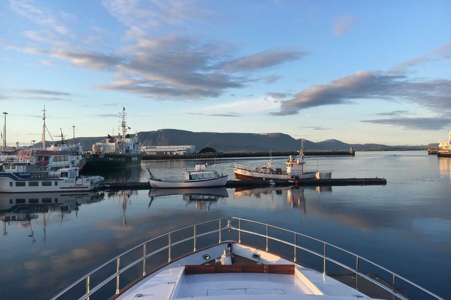 Reykjavik: Whale Watching and Dolphin Watching Yacht Cruise - Key points to know before sailing