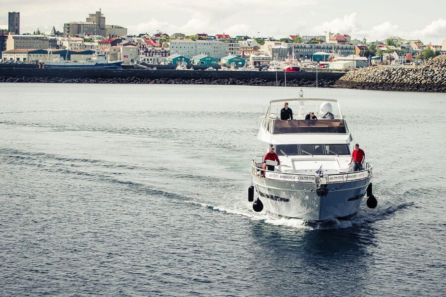 Reykjavik: Whale Watching and Dolphin Watching Yacht Cruise - Finding whales in Faxafloi Bay