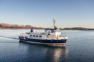 Whale Watching and Marine Life Cruise